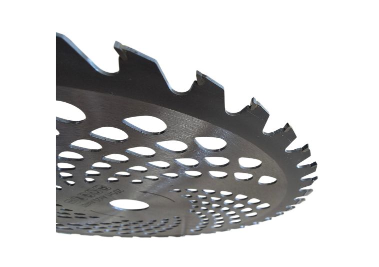 Denti (40T) al tungsteno sega circolare per decesèpugliatore. | Acquista su ferramentabeniamino.it